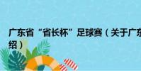 广东省“省长杯”足球赛(关于广东省“省长杯”足球赛介绍)