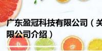 广东盈冠科技有限公司(关于广东盈冠科技有限公司介绍)