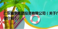 广东益华集团投资有限公司(关于广东益华集团投资有限公司介绍)