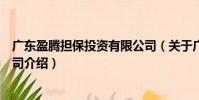 广东盈腾担保投资有限公司(关于广东盈腾担保投资有限公司介绍)