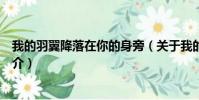 我的羽翼降落在你的身旁(关于我的羽翼降落在你的身旁简介)