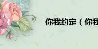 你我约定(你我色)