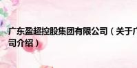 广东盈超控股集团有限公司(关于广东盈超控股集团有限公司介绍)