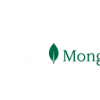 在MongoDB World 2022上公布开发人员数据平台的愿景