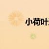 小荷叶边上衣（小荷叶作文网）