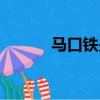马口铁是什么（马口铁是什么）