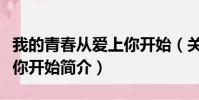 我的青春从爱上你开始(关于我的青春从爱上你开始简介)