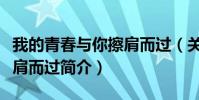 我的青春与你擦肩而过(关于我的青春与你擦肩而过简介)