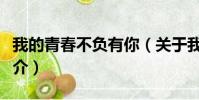 我的青春不负有你(关于我的青春不负有你简介)