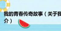 我的青春传奇故事(关于我的青春传奇故事简介)