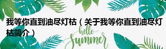 我等你直到油尽灯枯（关于我等你直到油尽灯枯简介）(图1)