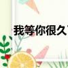 我等你很久了（关于我等你很久了简介）