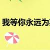 我等你永远为期（关于我等你永远为期简介）