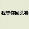 我等你回头看我（关于我等你回头看我简介）