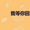 我等你回家（关于我等你回家简介）