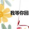 我等你回来（关于我等你回来简介）