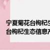 宁夏菊花台枸杞生态信息产业开发有限公司（关于宁夏菊花台枸杞生态信息产业开发有限公司介绍）