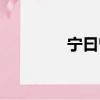 宁曰曾（关于宁曰曾介绍）