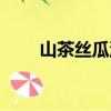 山茶丝瓜汤（关于山茶丝瓜汤简介）