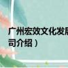 广州宏效文化发展有限公司（关于广州宏效文化发展有限公司介绍）