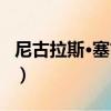 尼古拉斯·塞古因（关于尼古拉斯·塞古因简介）