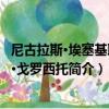 尼古拉斯·埃塞基耶尔·戈罗西托（关于尼古拉斯·埃塞基耶尔·戈罗西托简介）