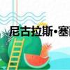 尼古拉斯·塞萨（关于尼古拉斯·塞萨简介）
