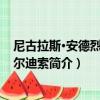尼古拉斯·安德烈斯·布尔迪索（关于尼古拉斯·安德烈斯·布尔迪索简介）