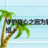 守护甜心之因为爱而守护（关于守护甜心之因为爱而守护介绍）