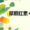 尿胆红素+1（关于尿胆红素+1简介）