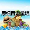 尿细菌定量培养（关于尿细菌定量培养简介）