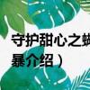 守护甜心之蝴蝶风暴（关于守护甜心之蝴蝶风暴介绍）