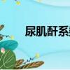 尿肌酐系数（关于尿肌酐系数简介）