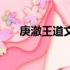 庚澈王道文只有你不懂（庚澈王道文）