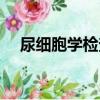 尿细胞学检查（关于尿细胞学检查简介）