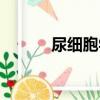 尿细胞学（关于尿细胞学简介）