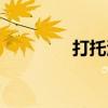 打托河（关于打托河简介）