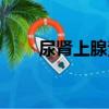 尿肾上腺素（关于尿肾上腺素简介）