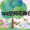 qq空间花藤在哪里打开（qq空间花藤代码）