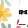 尿绯质（关于尿绯质简介）