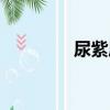 尿紫质（关于尿紫质简介）