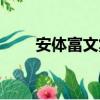 安体富文集（关于安体富文集介绍）