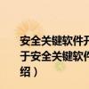 安全关键软件开发与审定——DO-178C标准实践指南（关于安全关键软件开发与审定——DO-178C标准实践指南介绍）