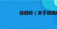 徐晓岭(关于徐晓岭介绍)