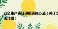 安全生产责任保险实施办法(关于安全生产责任保险实施办法介绍)