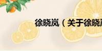 徐晓岚(关于徐晓岚介绍)