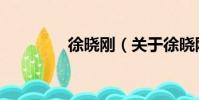 徐晓刚(关于徐晓刚介绍)