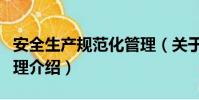 安全生产规范化管理(关于安全生产规范化管理介绍)