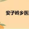 安子岭乡医院（关于安子岭乡医院介绍）