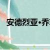 安德烈亚·乔菲（关于安德烈亚·乔菲介绍）